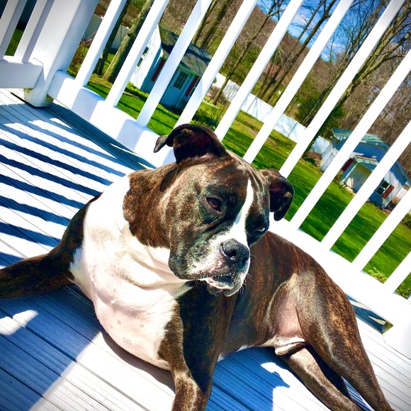 Meet your Posher, Jonathan - Picture 1 of 1